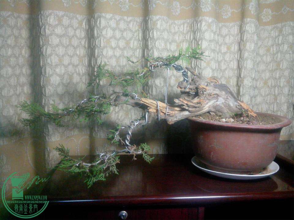 IMG20141111005.jpg