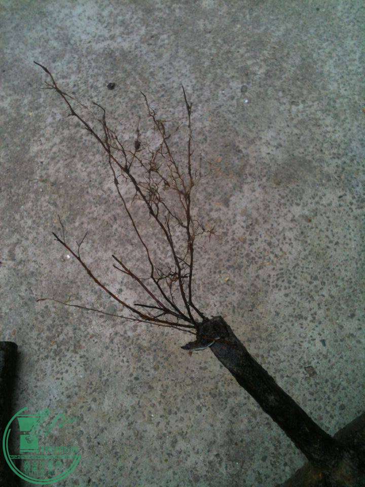 QQͼƬ20141113125704.jpg