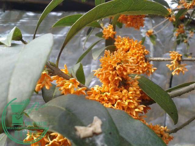 20141115_100531.jpg