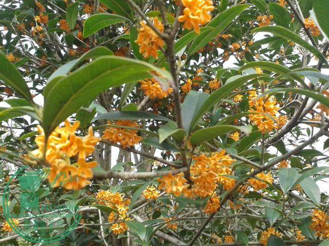 20141115_104013.jpg