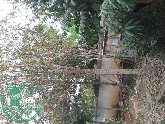 20141115_104820.jpg