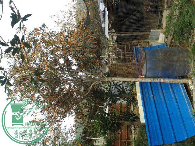 20141115_102857.jpg