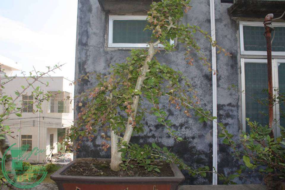 Ƭ20131026ۺ 289.jpg