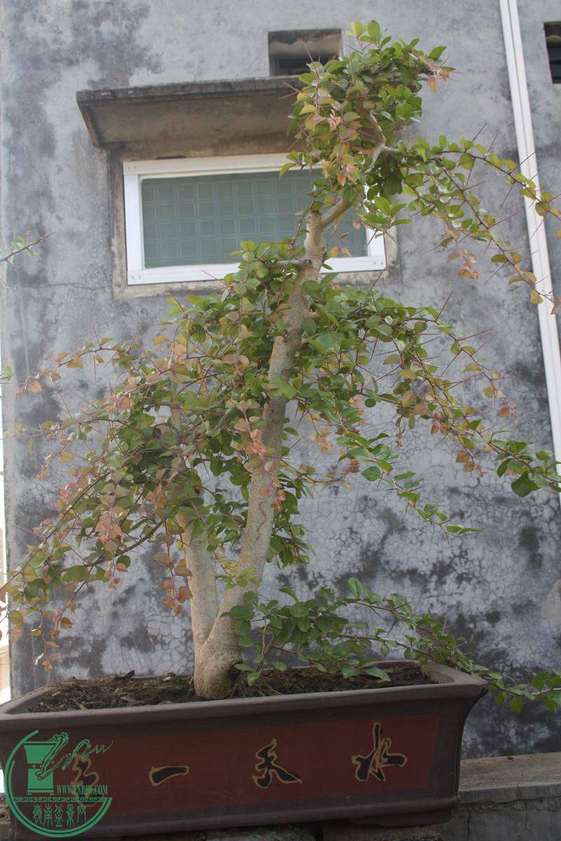 Ƭ20131026ۺ 292.jpg
