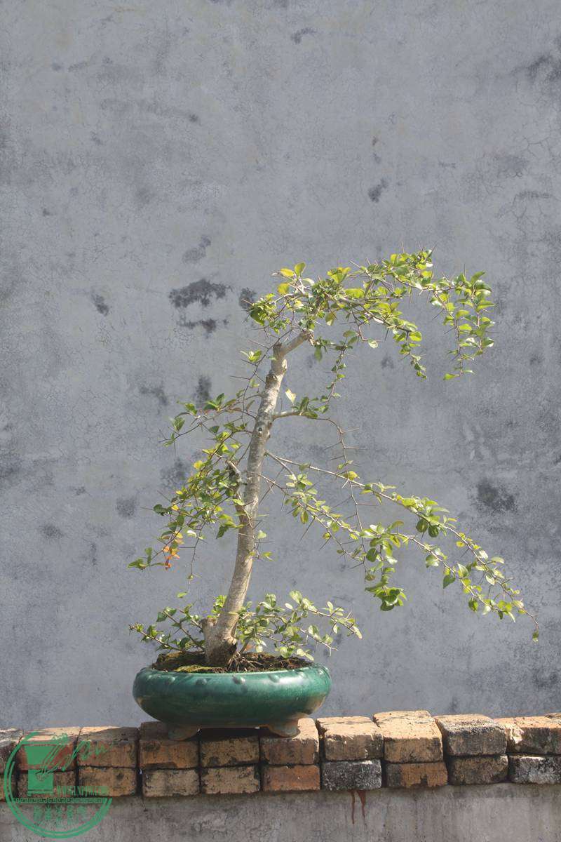 Ƭ20131026ۺ 2224.jpg