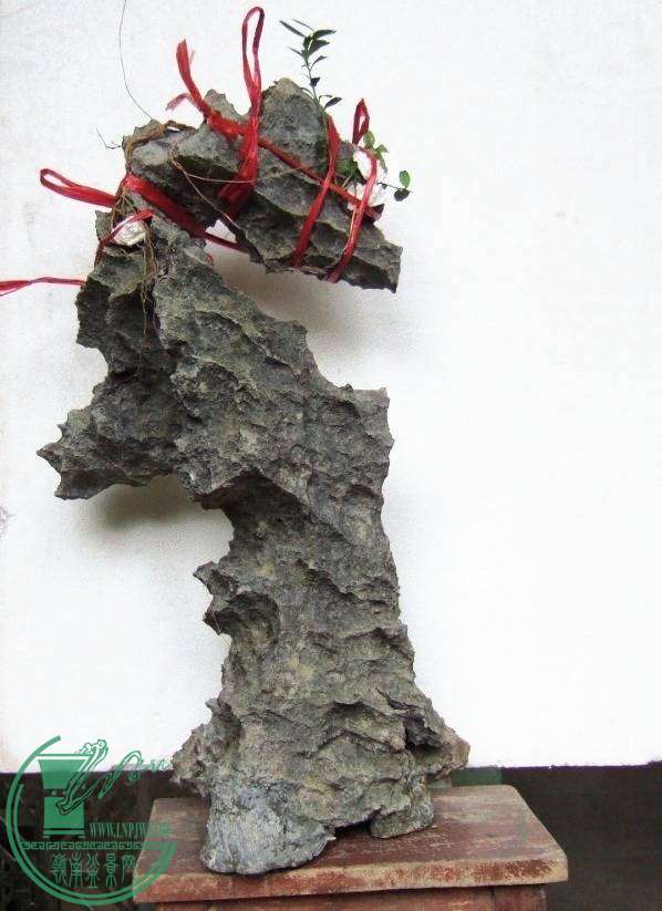 DSCF5673.JPG
