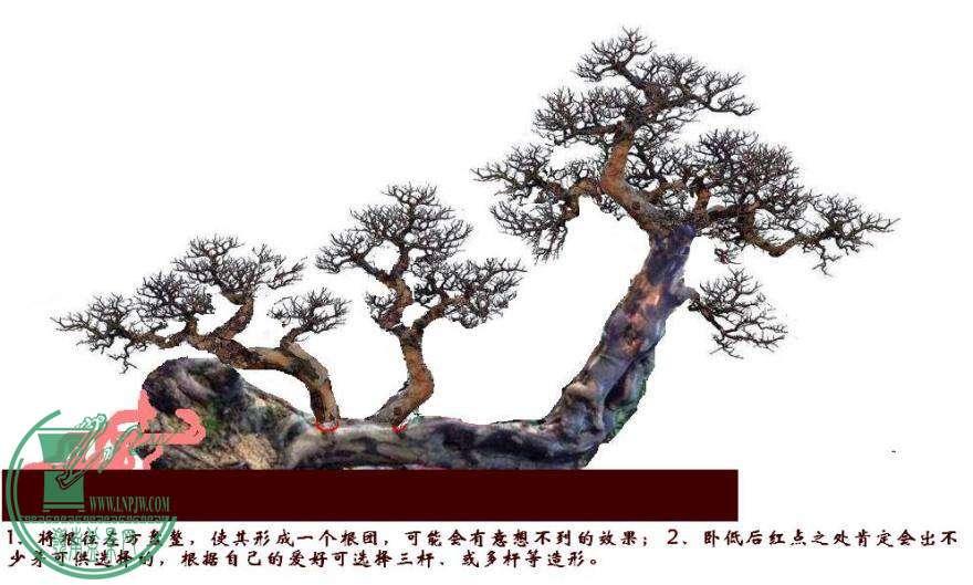   195437cdw9g015901ik51u.jpg