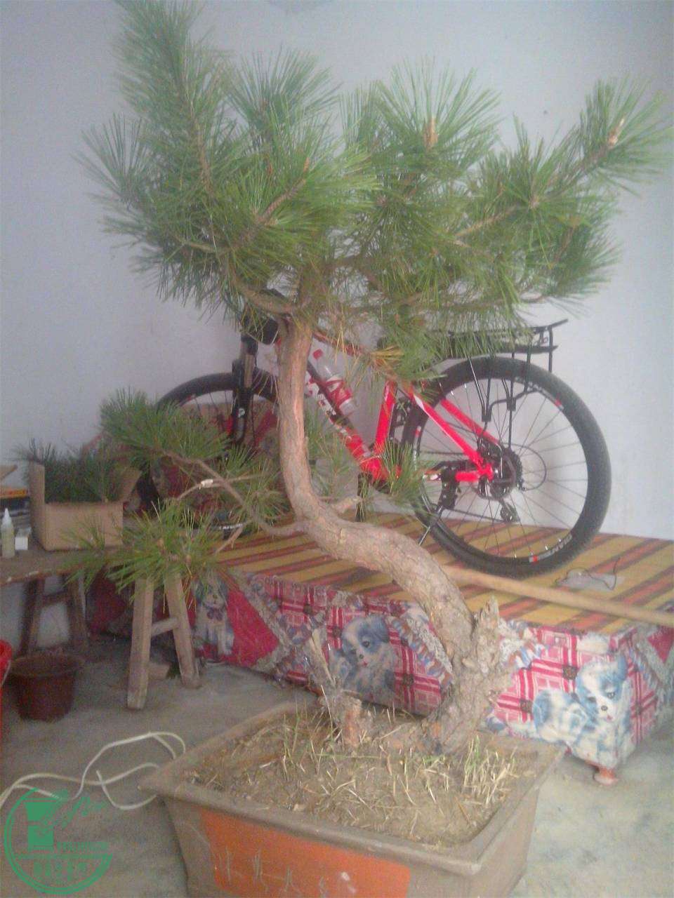 IMG20141119005.jpg