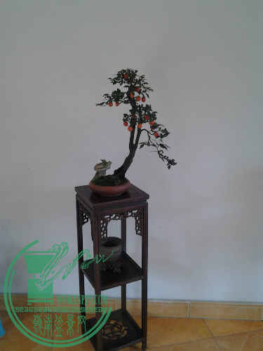 20141120_115403.jpg
