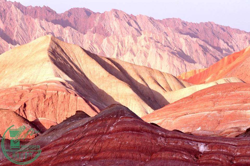 ع _CSC0176_.jpg