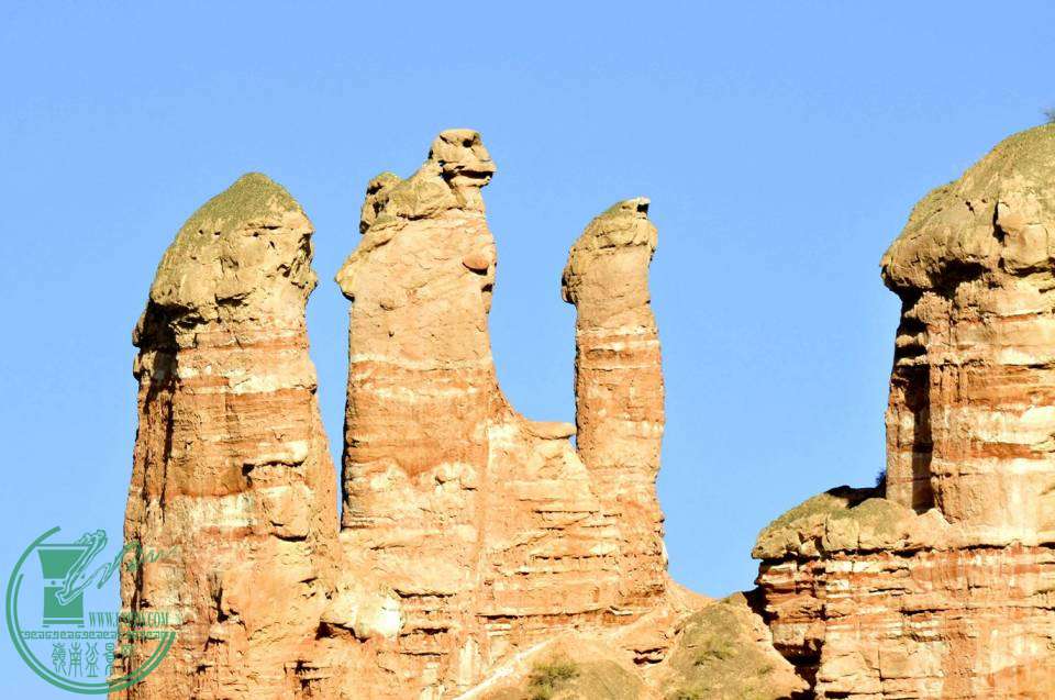 ع _DSC1121_.jpg