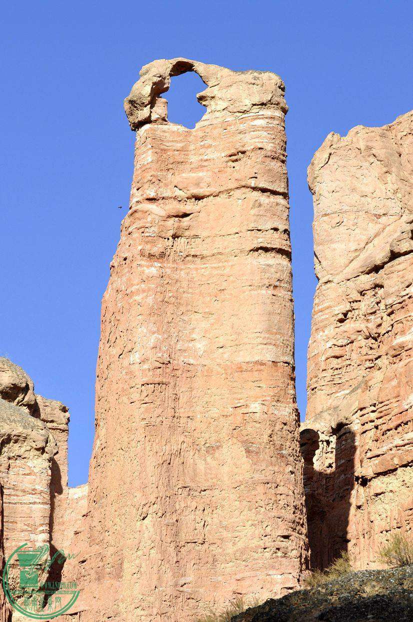 ع ת _DSC1108_.jpg