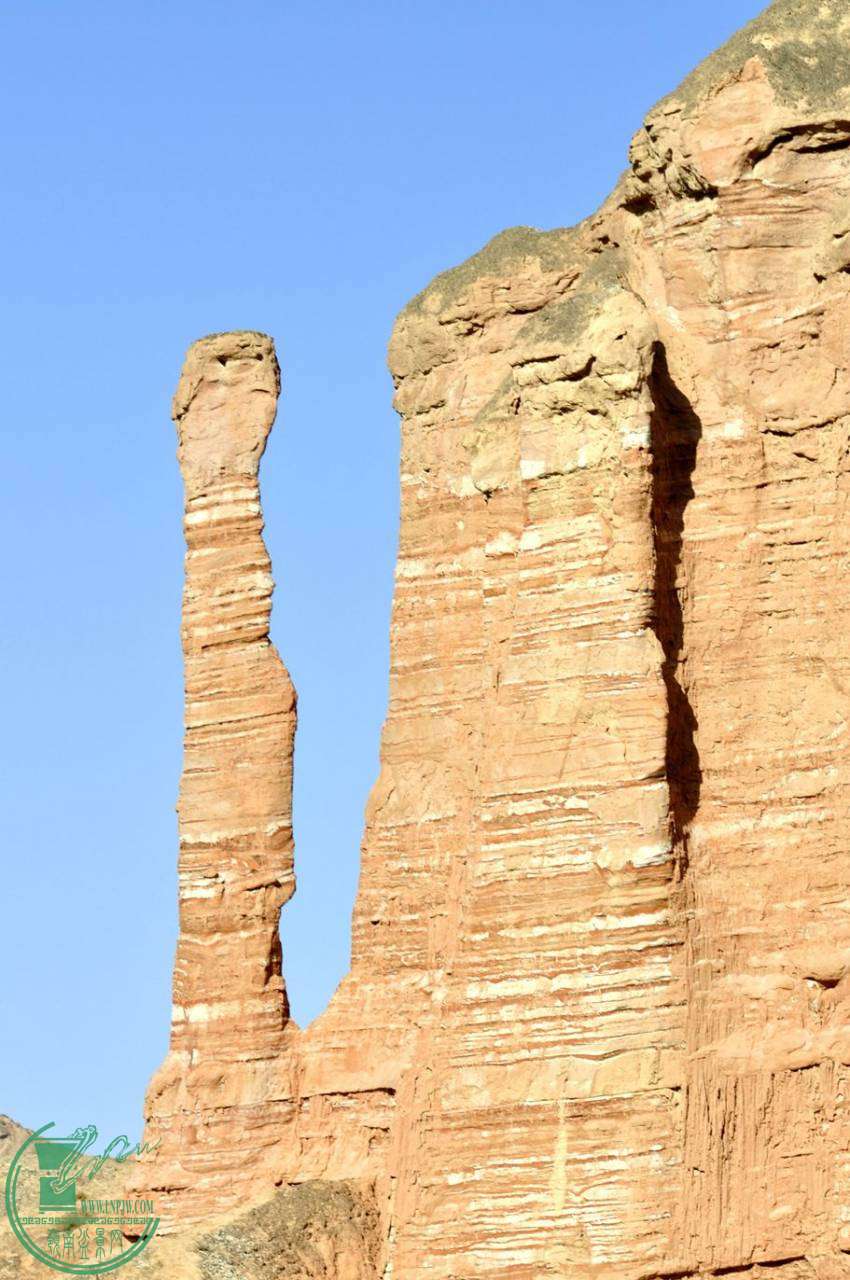 ع ת _DSC1120_.jpg