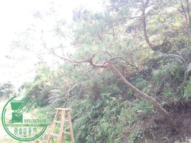 20141116_121058.jpg