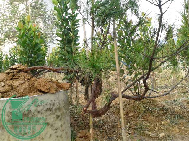20141121_163456.jpg