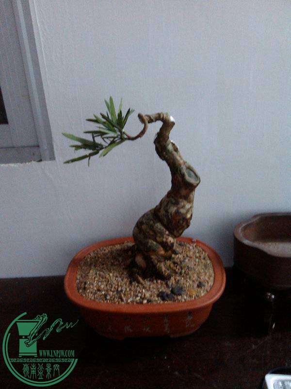 IMG_20141020_194631.jpg