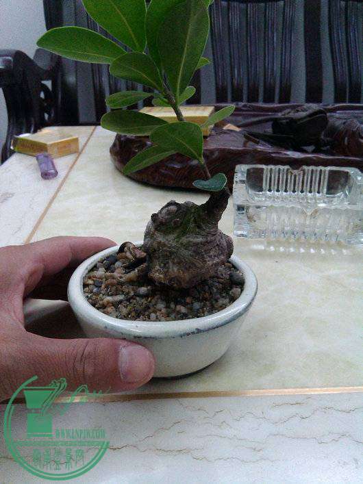IMG_20141105_221044.jpg