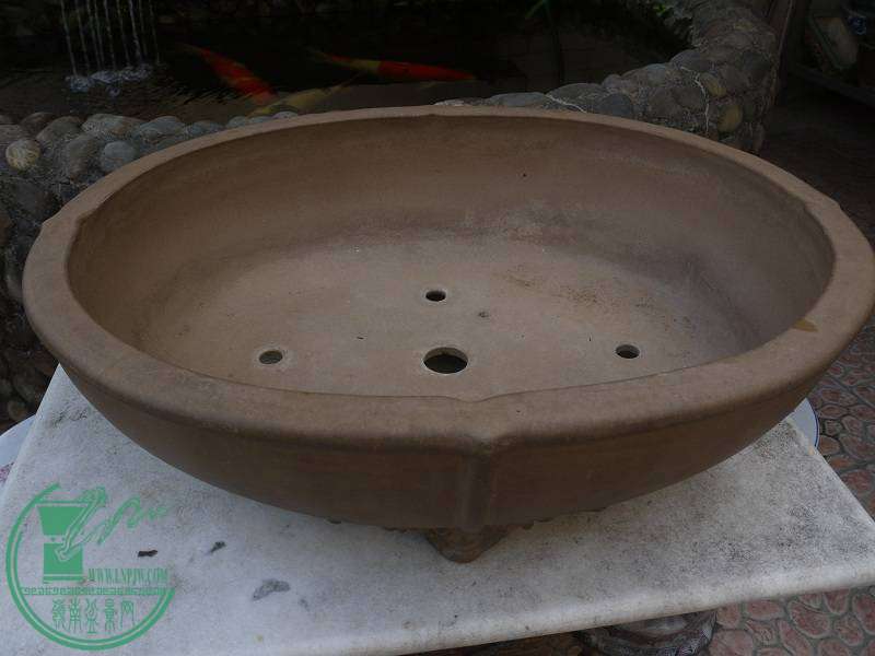 P1200756.JPG