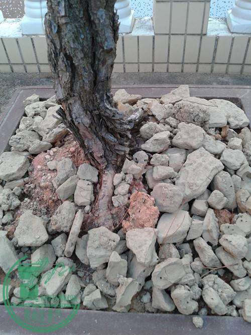  20141121_165739.jpg