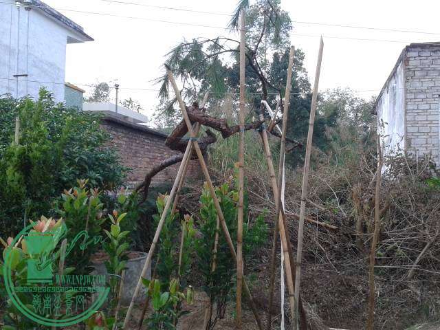 20141122_161905.jpg