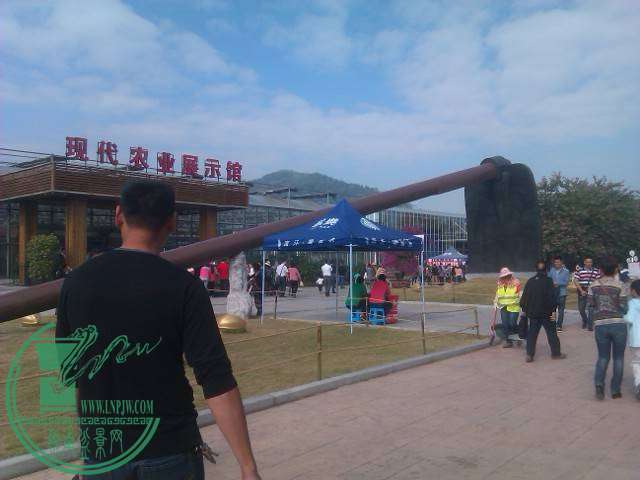 IMAG0174.jpg