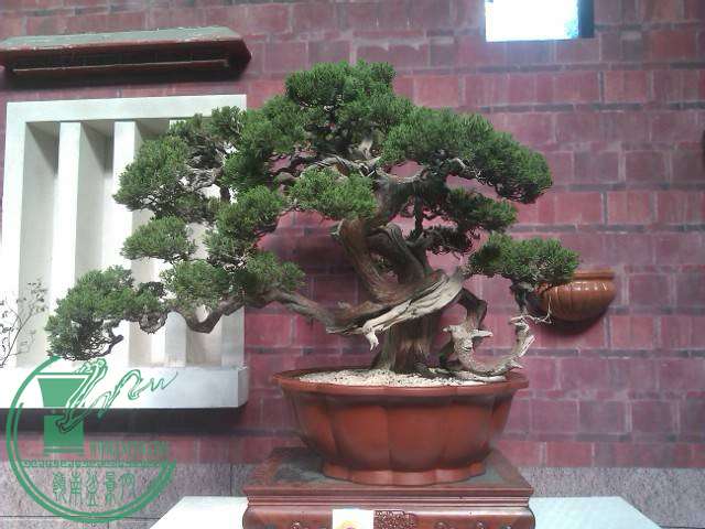 IMAG0176.jpg
