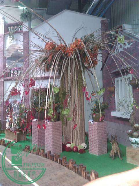 IMAG0179.jpg