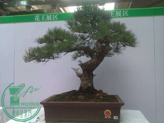 IMAG0182.jpg