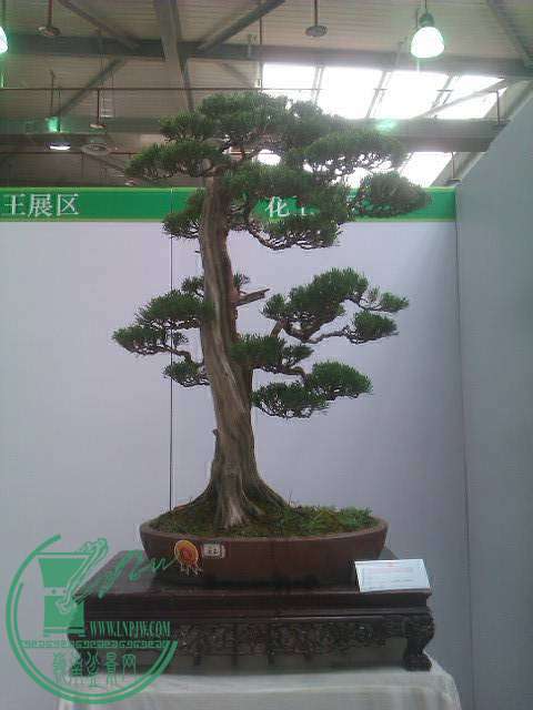 IMAG0187.jpg