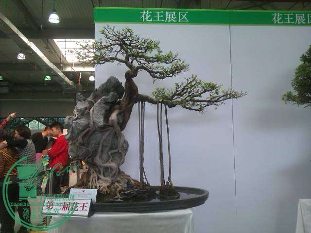 IMAG0188.jpg