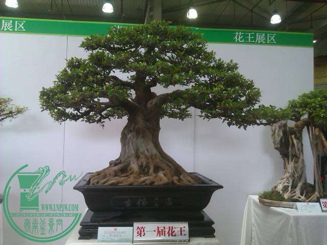 IMAG0189.jpg