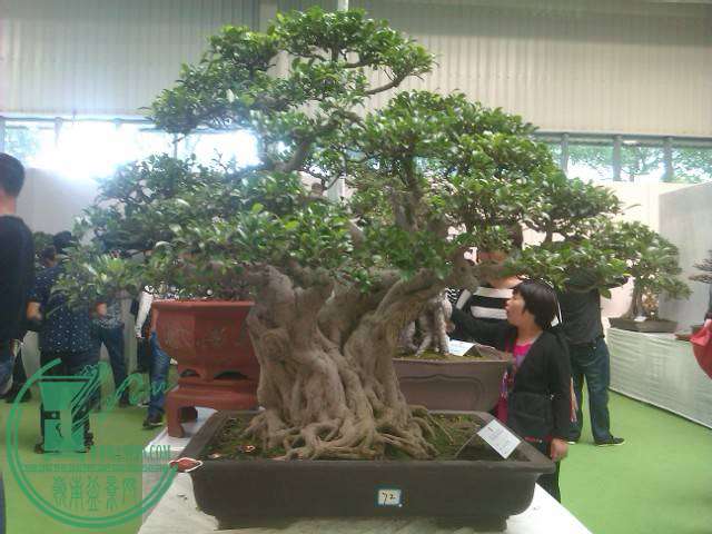IMAG0191.jpg