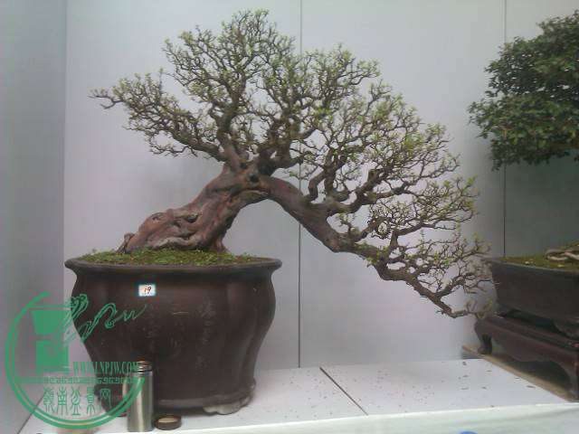 IMAG0192.jpg