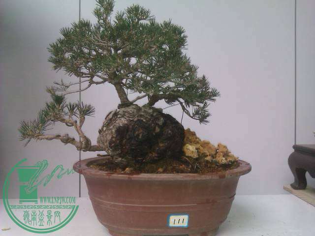 IMAG0197.jpg