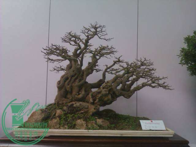 IMAG0198.jpg