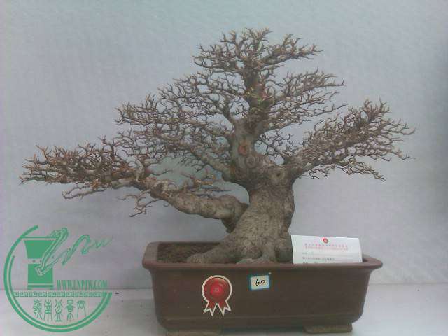 IMAG0202.jpg