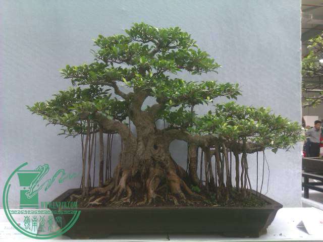 IMAG0212.jpg