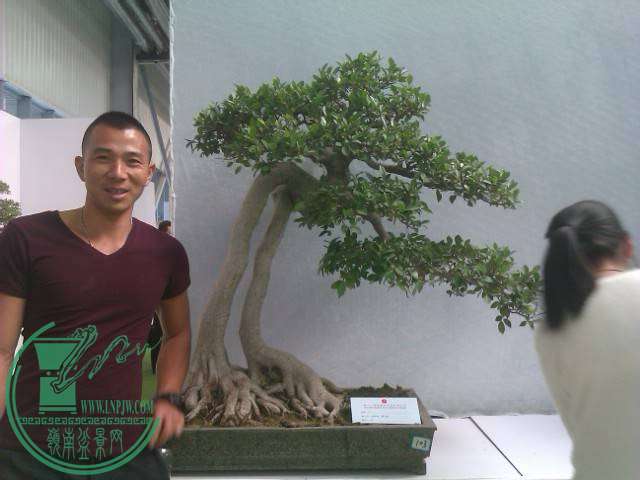 IMAG0215.jpg