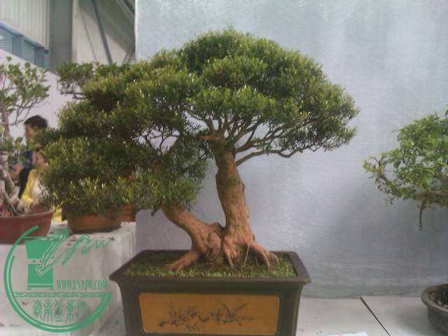 IMAG0224.jpg