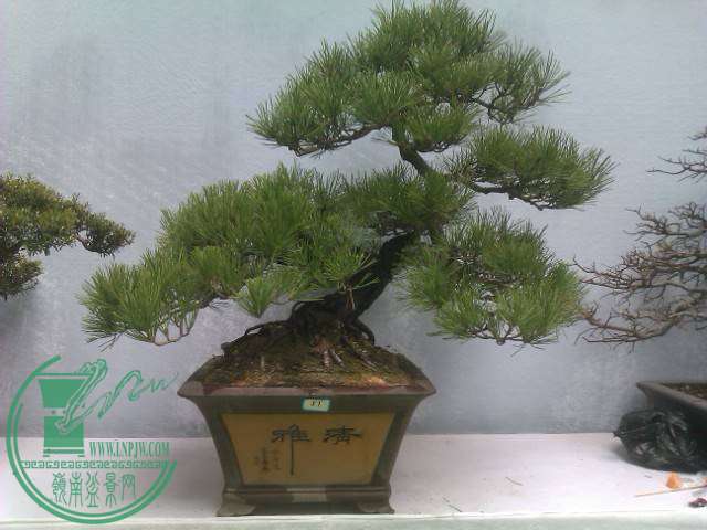 IMAG0227.jpg