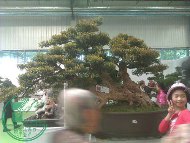 IMAG0230.jpg