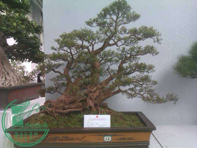 IMAG0237.jpg
