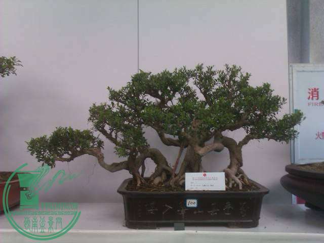 IMAG0262.jpg