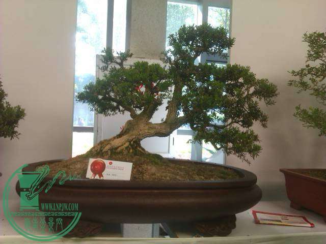 IMAG0263.jpg