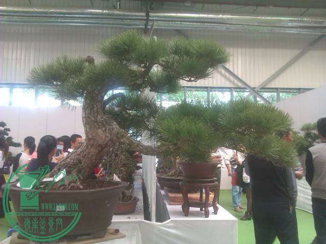 IMAG0269.jpg