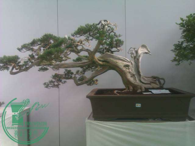 IMAG0279.jpg