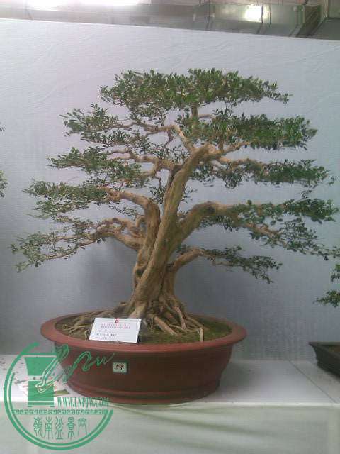 IMAG0280.jpg