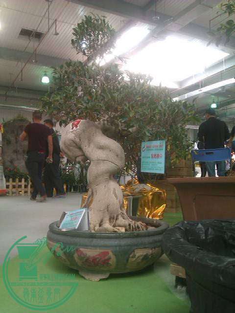 IMAG0281.jpg