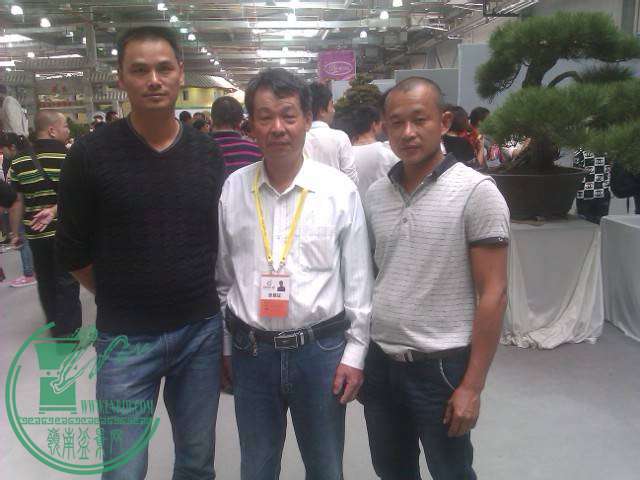 IMAG0267.jpg