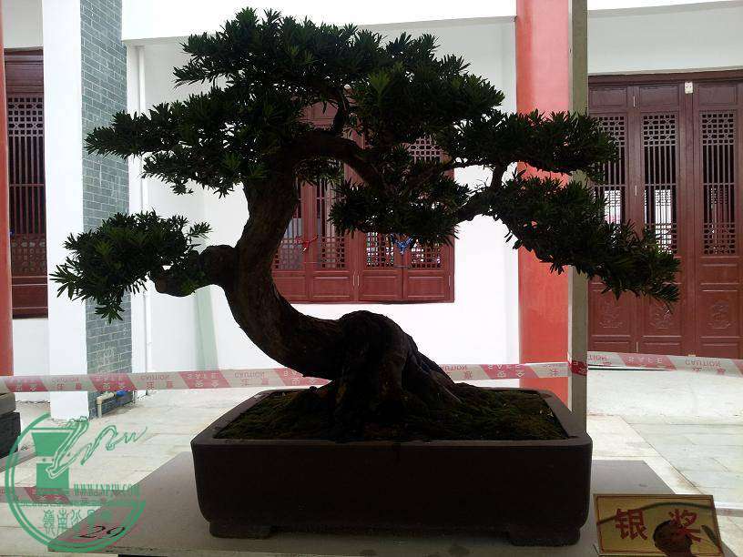 20141029_085249007.JPG